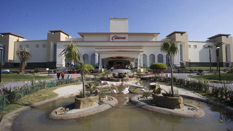 Cómo apostar en Caliente Casino del Hipódromo Tijuana